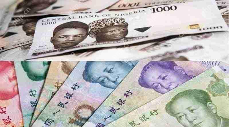 奈拉(Naira)在周五在尼日利亚自动货币外汇市场(NAFEX)延伸了美元的收益